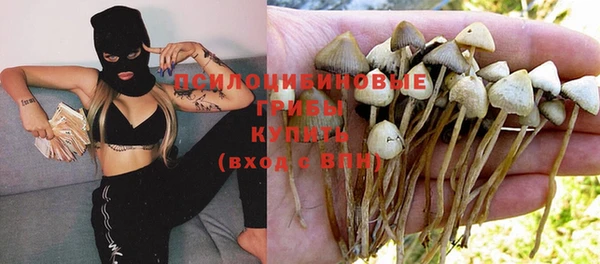MDMA Михайловск