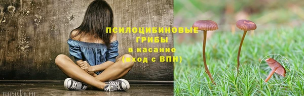 тгк Ленск