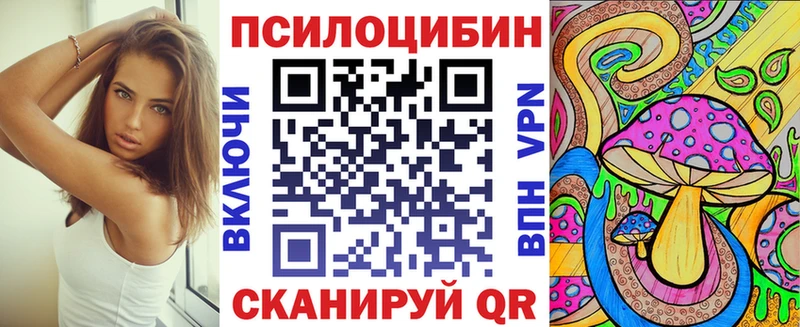 где можно купить наркотик  гидра как зайти  Псилоцибиновые грибы прущие грибы  Тихвин 