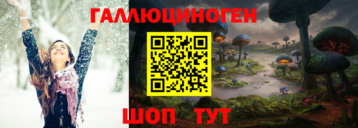 Псилоцибиновые грибы прущие грибы Тихвин
